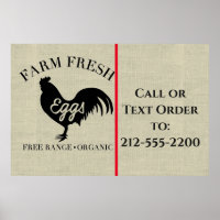 Farm Fresh Eggs Roadside 
