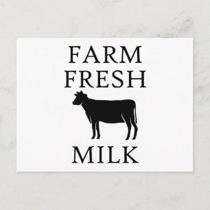 Farm Fresh Milk, Cow Postcard