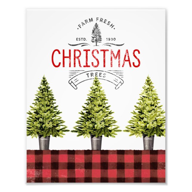 Farm Fresh Potted Christmas Trees Wall Art (Front)