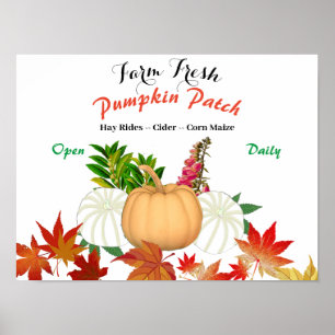 Farm Fresh Pumpkin Patch Fall Harvest Farmhouse Poster