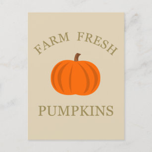 farm fresh pumpkin  postcard