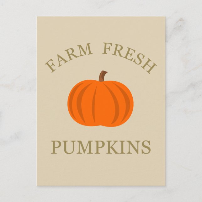 farm fresh pumpkin  postcard (Front)