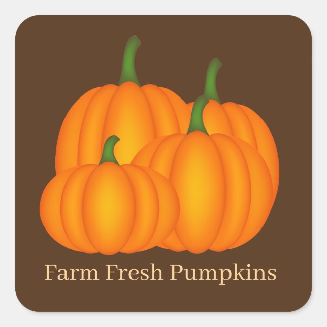 Farm fresh pumpkin vendors word art square sticker (Front)