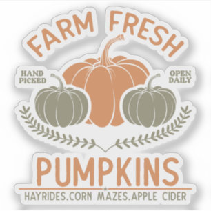 Farm Fresh Pumpkins   Hand Picked