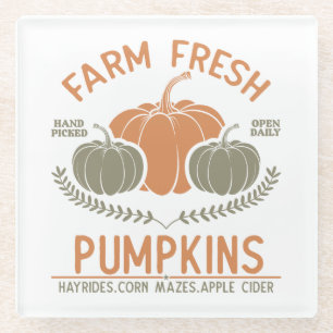Farm Fresh Pumpkins Hand Picked Glass Coaster
