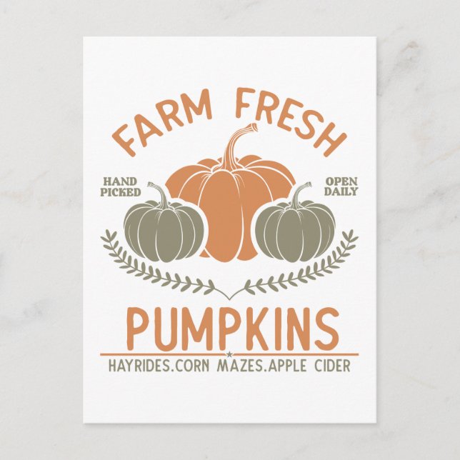 Farm Fresh Pumpkins | Hand Picked Postcard (Front)