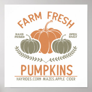 Farm Fresh Pumpkins   Hand Picked Poster