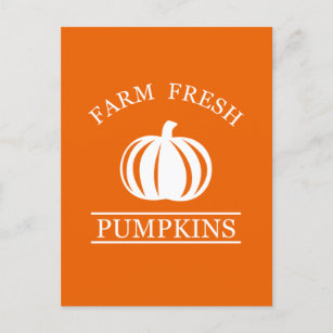 Farm fresh pumpkins postcard