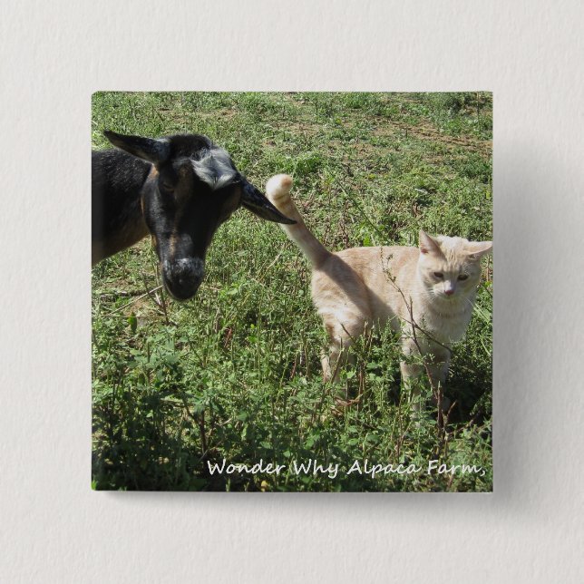 Farm Friends 15 Cm Square Badge (Front)
