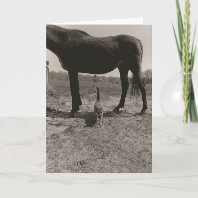 Farm friends II Card (Front)