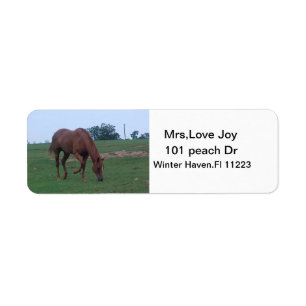 Farm Horse Address Lables