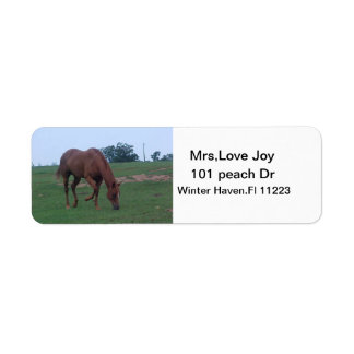 Farm Horse Address Lables