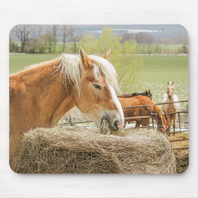 Farm Horse Munching on Some Hay Mouse Mat (Front)