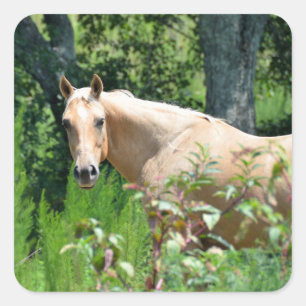 Farm Horse square sticker
