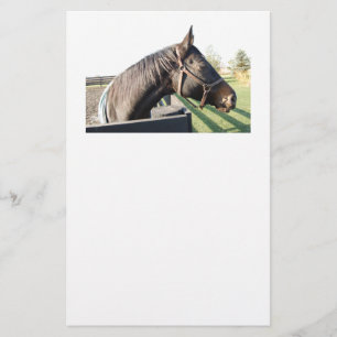 Farm Horse Stationery