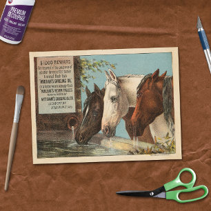 Farm Horses Drinking Water Advertisement Ephemera Tissue Paper