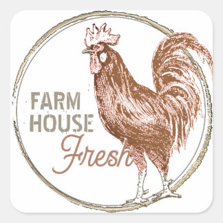 Farm House Fresh with Rooster Terra Cotta Square Sticker