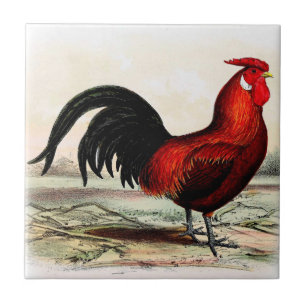 Farm Kitchen Decorative Rooster Tile Red Rooster