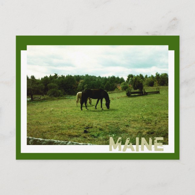 Farm Land Postcard (Front)