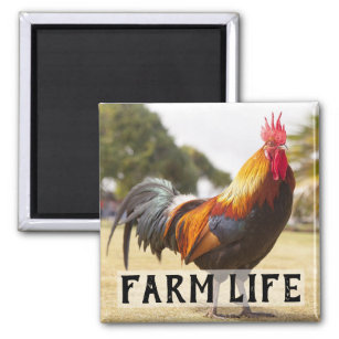 Farm Life Chicken Rooster Farmer's Market Magnet