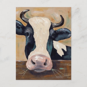 Farm Life - Gunther the Cow Postcard