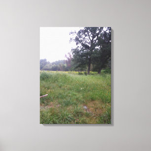 Farm life in Illinois  Canvas Print