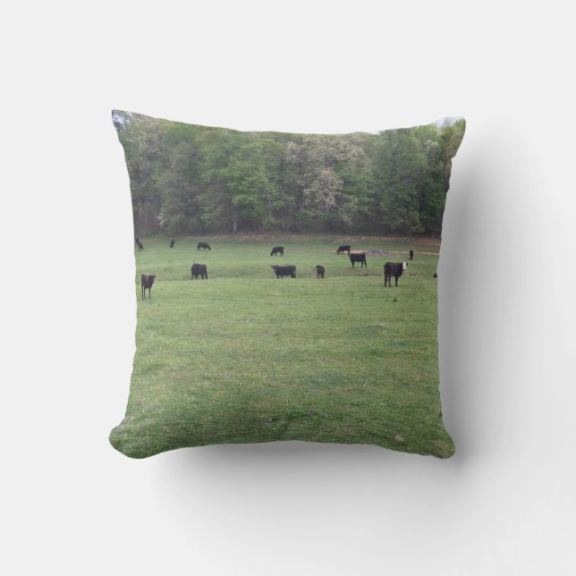 Farm Life Pillow (Front)