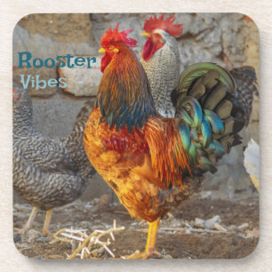 Farm Life Rooster Vibes Hard Plastic Coasters
