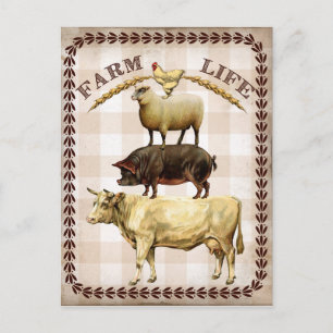 Farm life vintage Country postcard