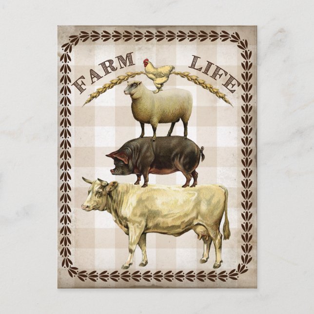 Farm life vintage Country postcard (Front)