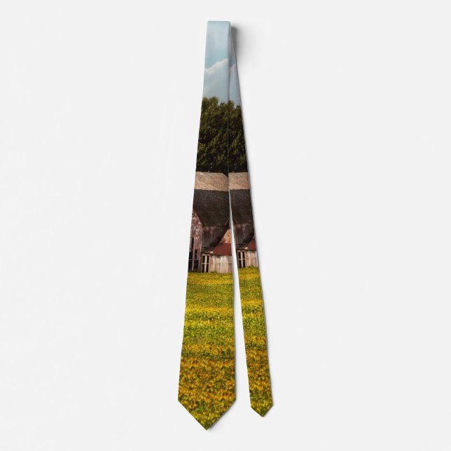 Farm - Ohio - Broken dreams Tie (Front)