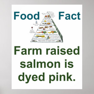 Farm Raised Salmon Is Dyed Pink - Food Fact Poster