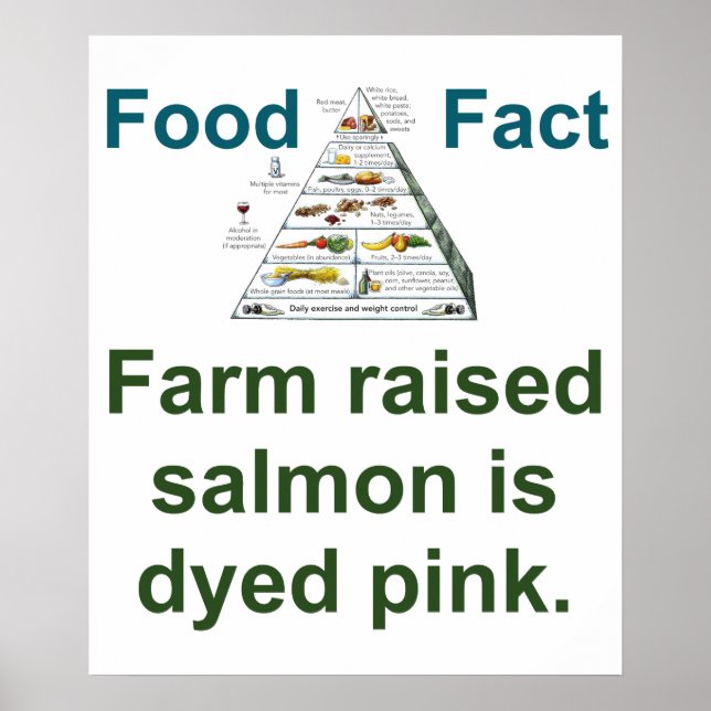 Farm Raised Salmon Is Dyed Pink - Food Fact Poster (Front)
