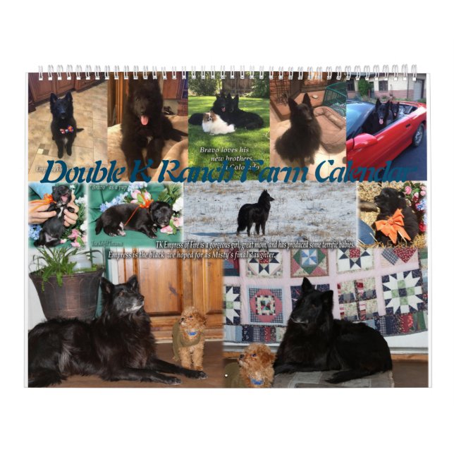 Farm-Ranch Animals: Horses, Goats, Pets, Poultry Calendar (Cover)