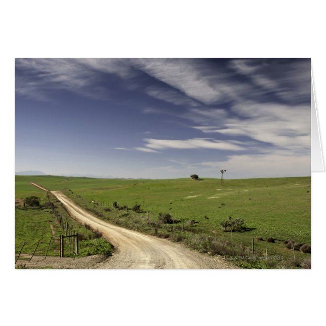 Farm road twining between wheat fields, Caledon, (Front Horizontal)