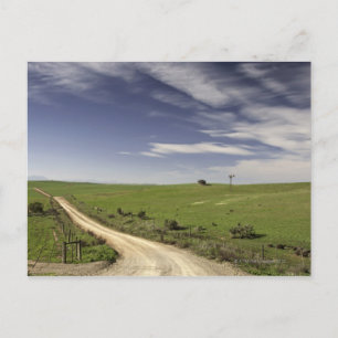 Farm road twining between wheat fields, Caledon, Postcard