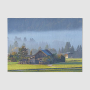 Farm Scene 3 Tissue Paper