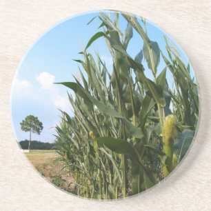 Farm Series---Corn field in GA Coaster