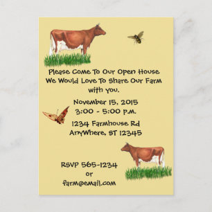 Farm Tour Invitation Guernsey Cow Postcard