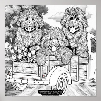 Farm truck Newfoundland Puppies with tulips Poster