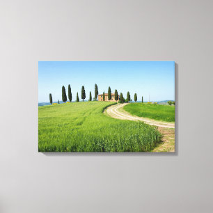 Farm villa with cypress trees in Tuscany Canvas Print