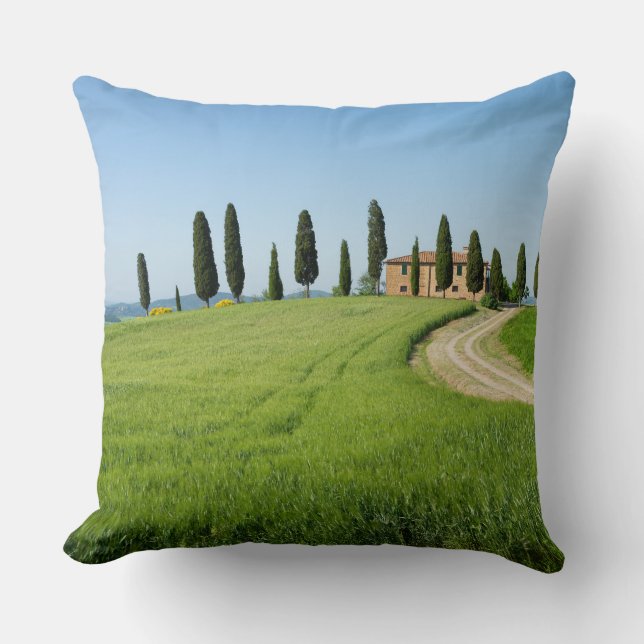 Farm villa with cypress trees in Tuscany Cushion (Front)