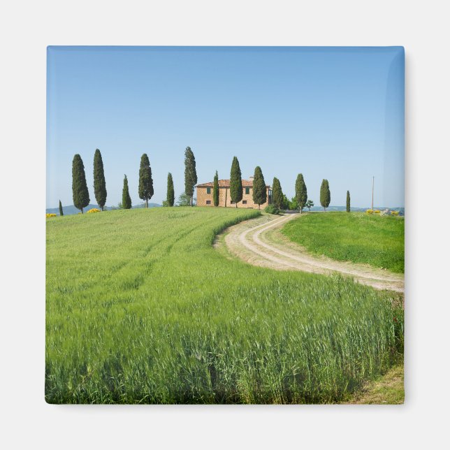 Farm villa with cypress trees in Tuscany Magnet (Front)