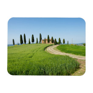 Farm villa with cypress trees in Tuscany Magnet