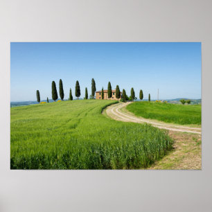 Farm villa with cypress trees in Tuscany Poster