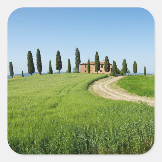 Farm villa with cypress trees in Tuscany Square Sticker (Front)