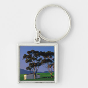 Farm Worker's Cottage And Wheat Fields, Overberg Key Ring