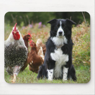 Farm Yard Family Photo Mouse Mat