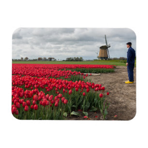 Farmer inspecting his tulips and windmill magnet