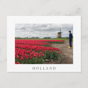 Farmer inspecting his tulips and windmill postcard